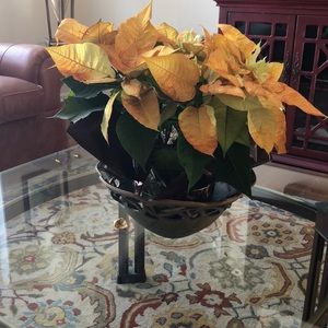 Meet your Posher, Jean